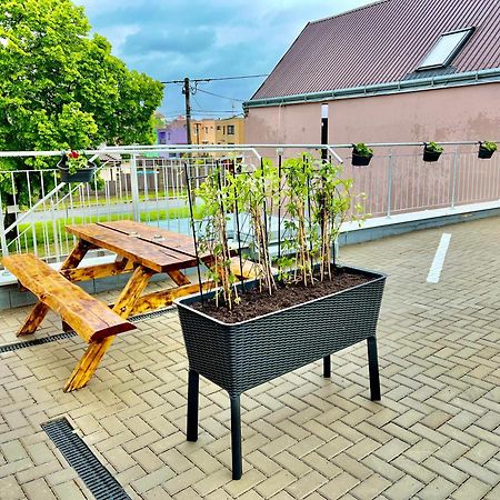 Penzion Bazen Vino Sklep U Palecku Zajeci Ngoại thất bức ảnh